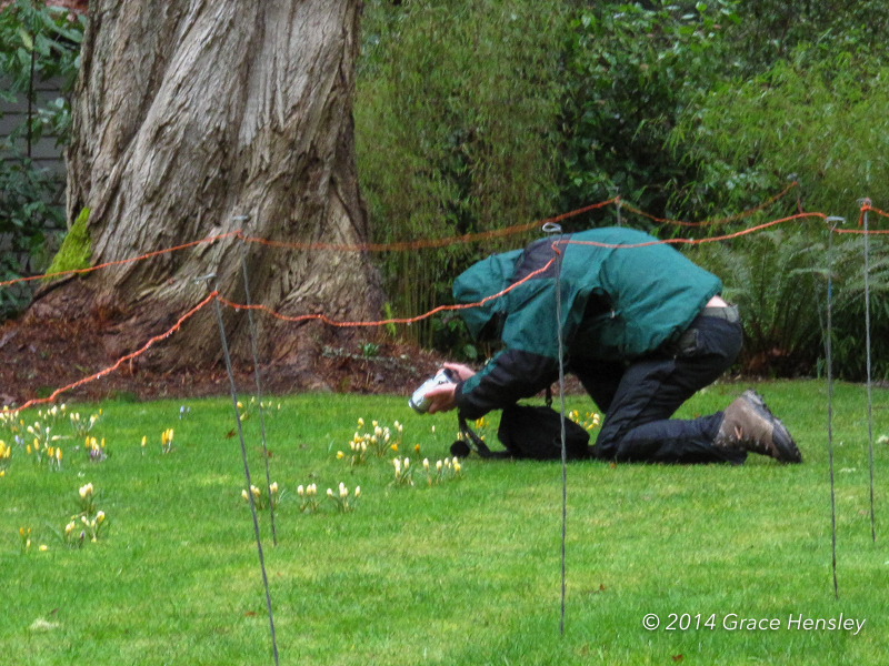 Man in raincoat photographing flowers