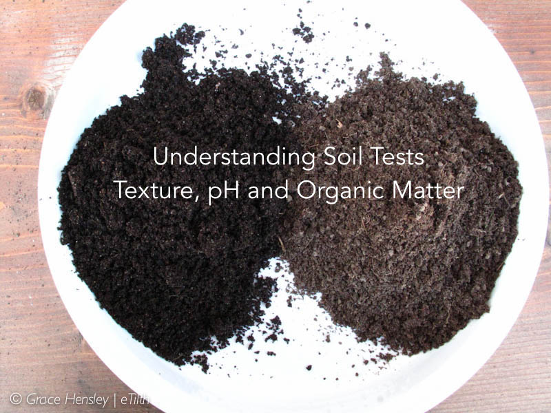 Read more about the article Understanding Soil Tests – Part 1