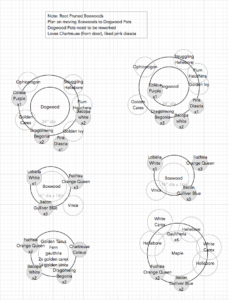 Circle diagram showing plants per container