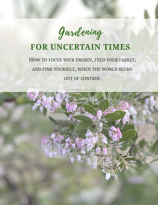 Read more about the article Gardening for Uncertain Times