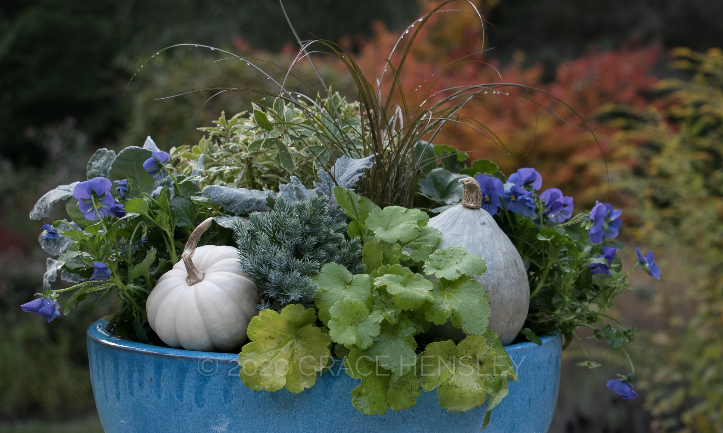 Read more about the article Orange you glad you have different options for fall containers?
