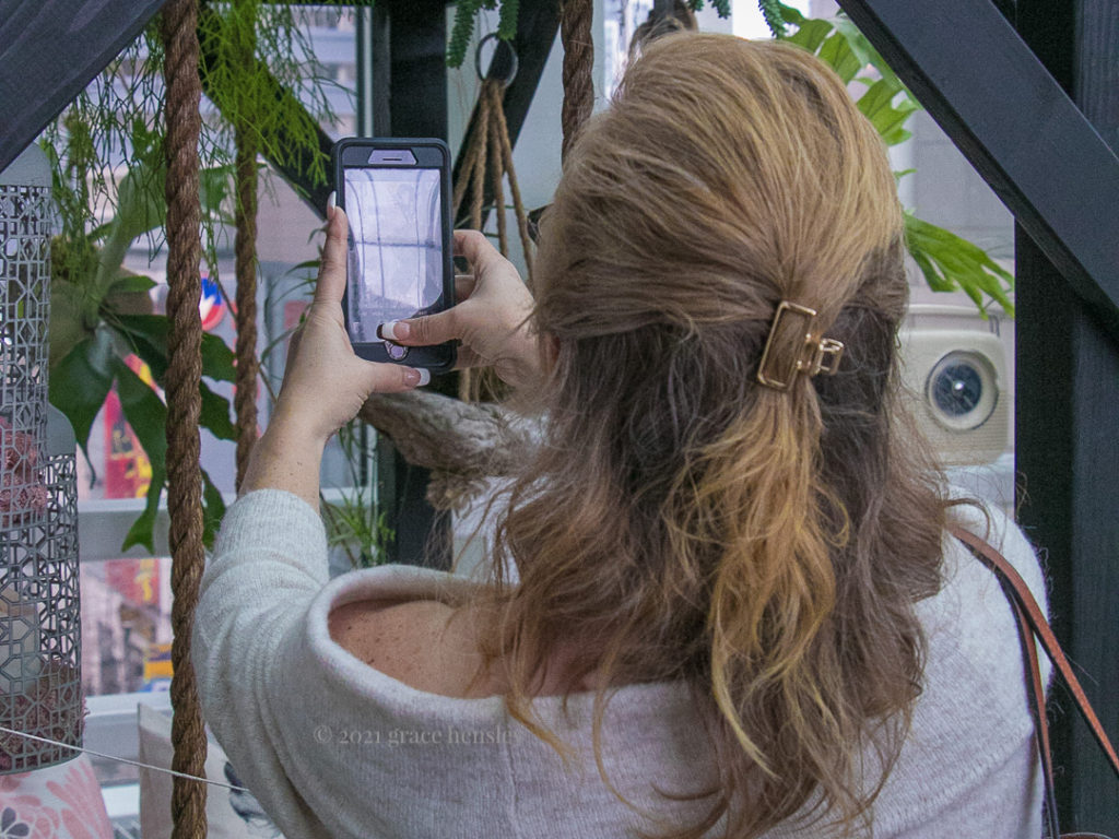 Taking a picture of a garden show display with your smartphone