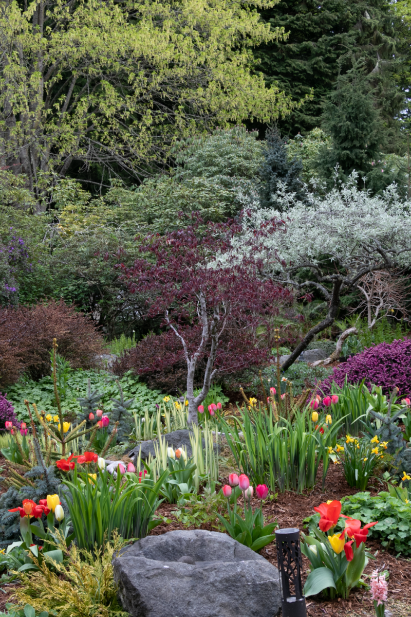 View in spring with bulbs