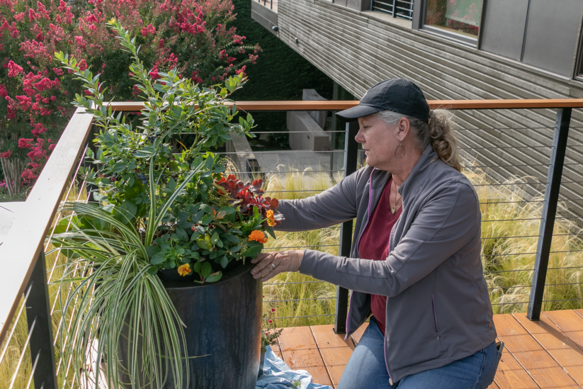 Container designer adjusting plants in a pot on a balcony