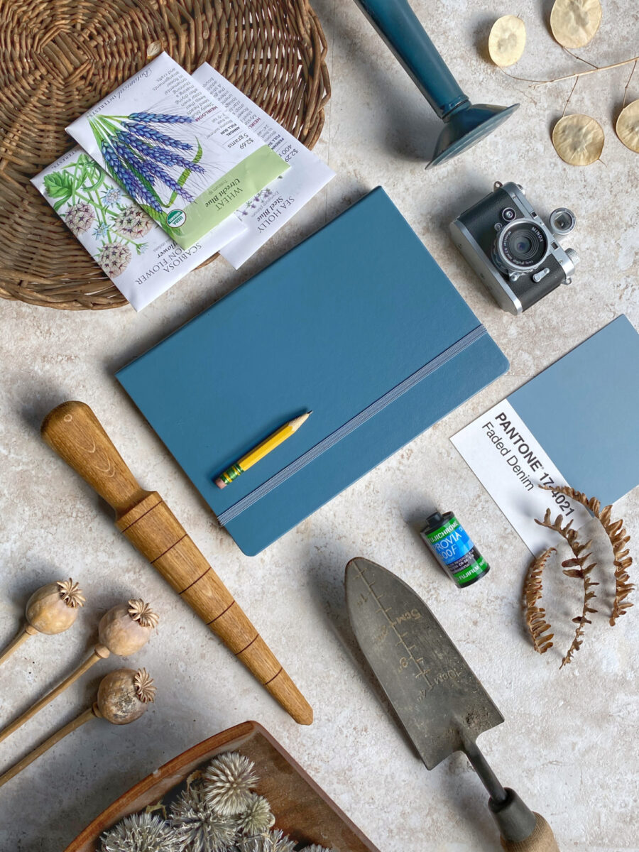 blue notebook and pencil with gardening tools and seeds arranged neatly