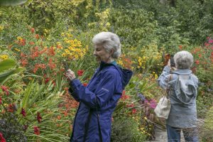 Two women photographing a garden with their smartphones