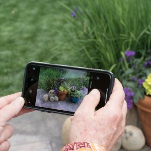 Woman holding a phone taking a picture in a garden